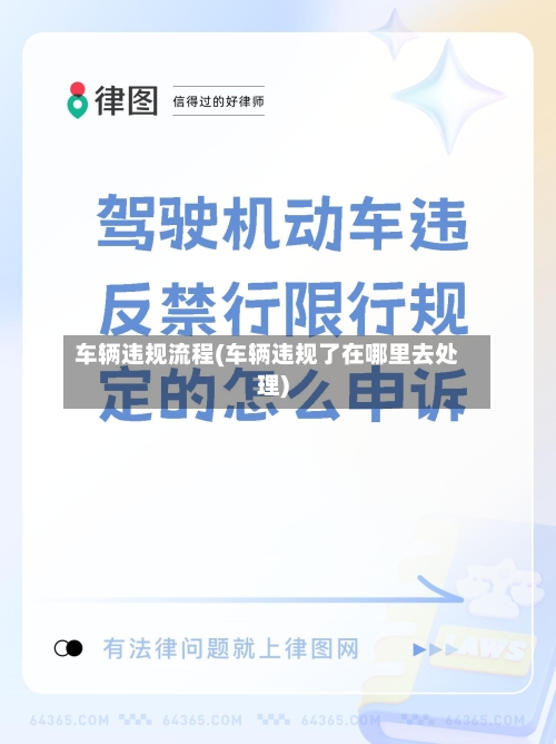 车辆违规流程(车辆违规了在哪里去处理)