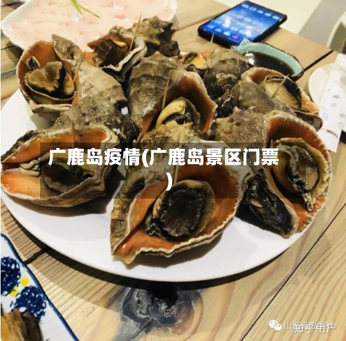 广鹿岛疫情(广鹿岛景区门票)