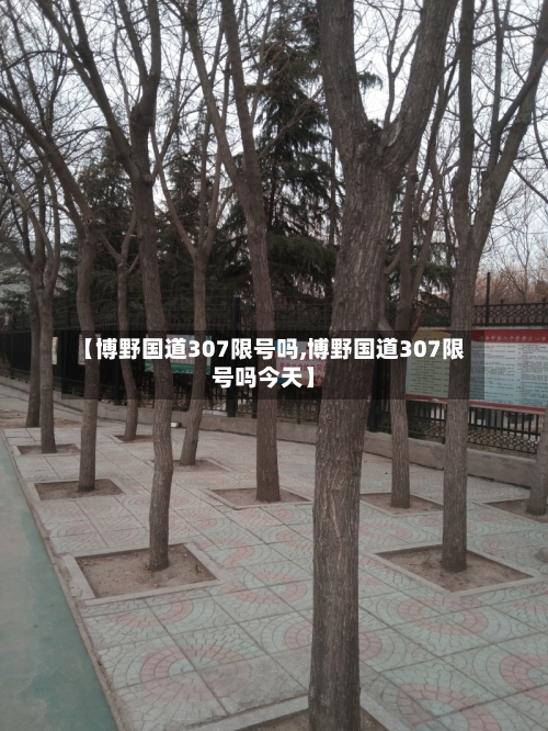 【博野国道307限号吗,博野国道307限号吗今天】