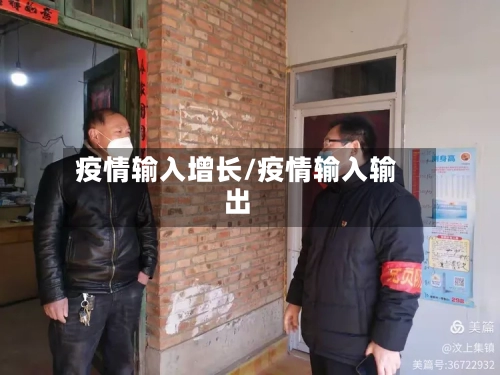 疫情输入增长/疫情输入输出