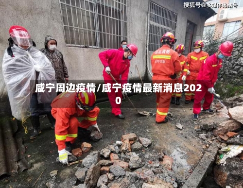 咸宁周边疫情/咸宁疫情最新消息2020