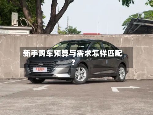 新手购车预算与需求怎样匹配？
