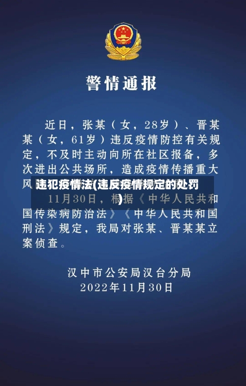 违犯疫情法(违反疫情规定的处罚)