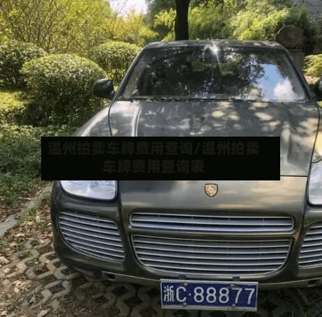 温州拍卖车牌费用查询/温州拍卖车牌费用查询表