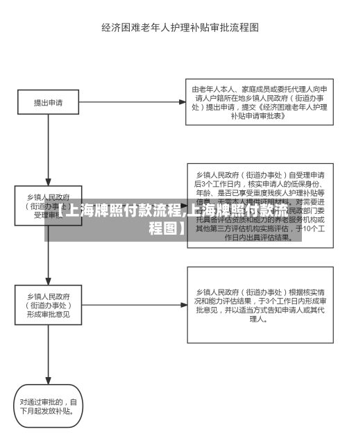 【上海牌照付款流程,上海牌照付款流程图】