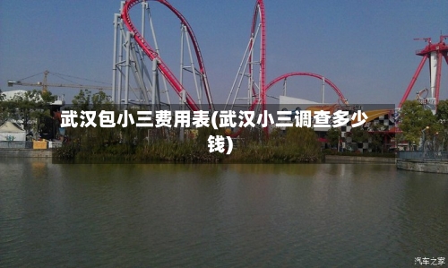 武汉包小三费用表(武汉小三调查多少钱)