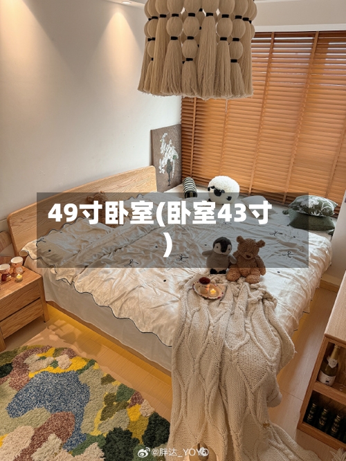 49寸卧室(卧室43寸)