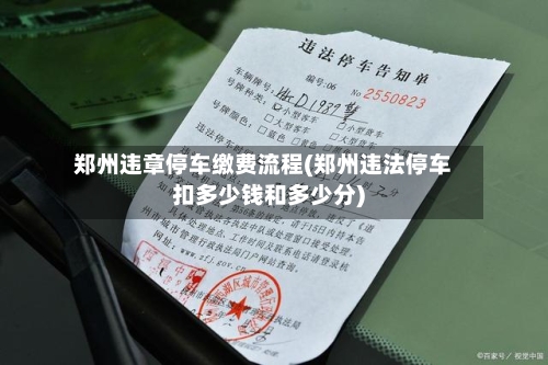 郑州违章停车缴费流程(郑州违法停车扣多少钱和多少分)