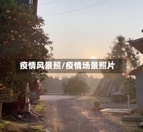 疫情风景照/疫情场景照片