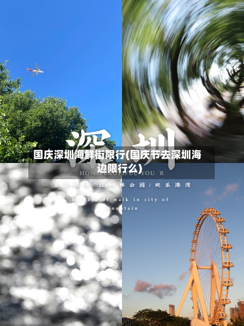 国庆深圳海鲜街限行(国庆节去深圳海边限行么)