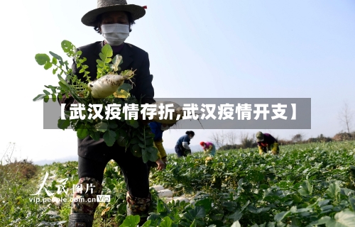 【武汉疫情存折,武汉疫情开支】