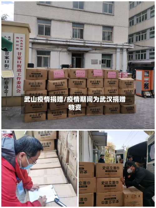 武山疫情捐赠/疫情期间为武汉捐赠物资