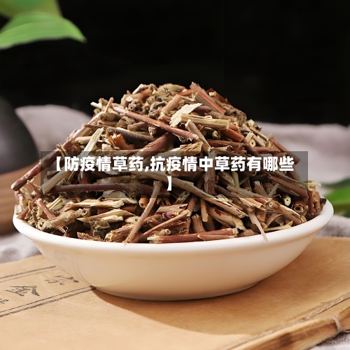 【防疫情草药,抗疫情中草药有哪些】