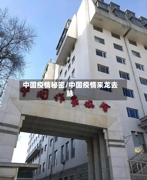 中国疫情秘密/中国疫情来龙去脉