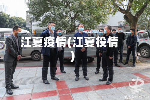 江夏疫情(江夏役情)