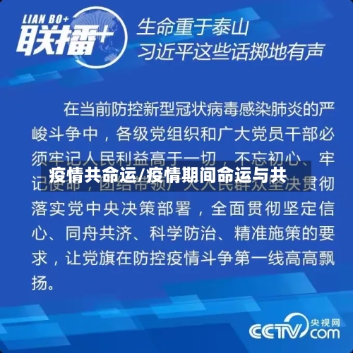 疫情共命运/疫情期间命运与共