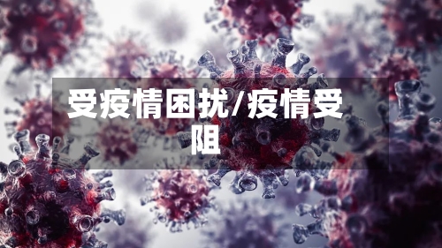受疫情困扰/疫情受阻