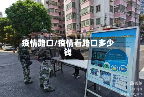 疫情路口/疫情看路口多少钱