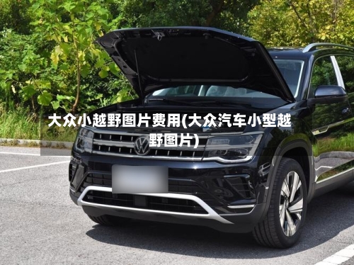 大众小越野图片费用(大众汽车小型越野图片)