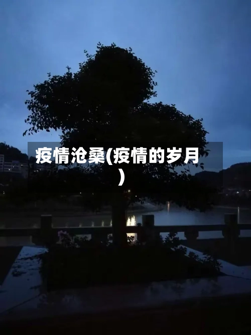 疫情沧桑(疫情的岁月)