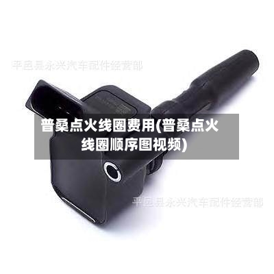 普桑点火线圈费用(普桑点火线圈顺序图视频)
