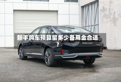 新手购车预算留多少备用金合适？