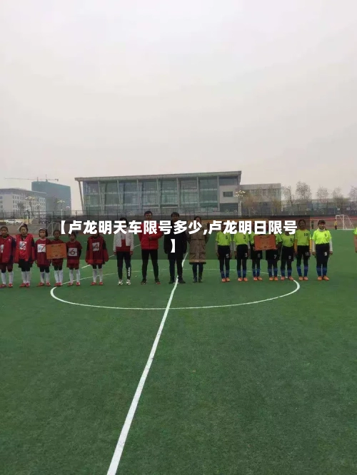 【卢龙明天车限号多少,卢龙明日限号】