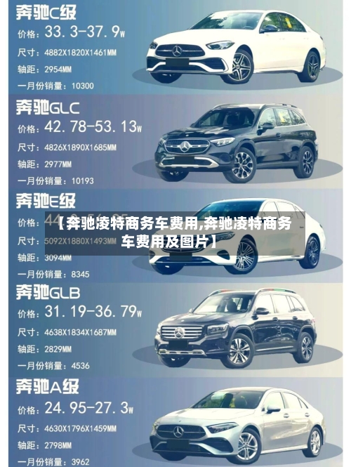 【奔驰凌特商务车费用,奔驰凌特商务车费用及图片】