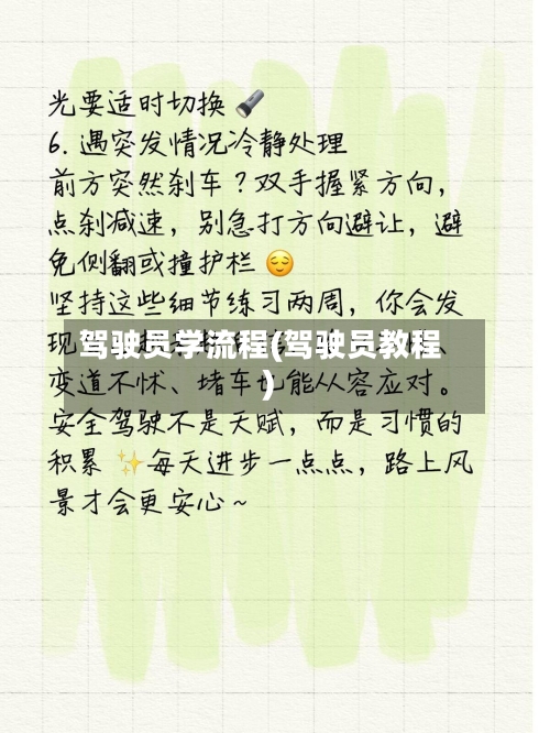 驾驶员学流程(驾驶员教程)
