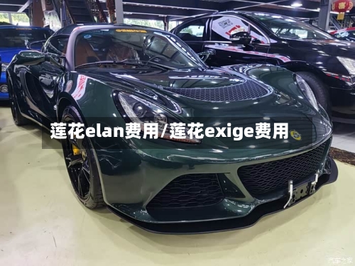 莲花elan费用/莲花exige费用