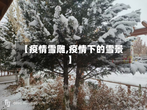 【疫情雪雕,疫情下的雪景】