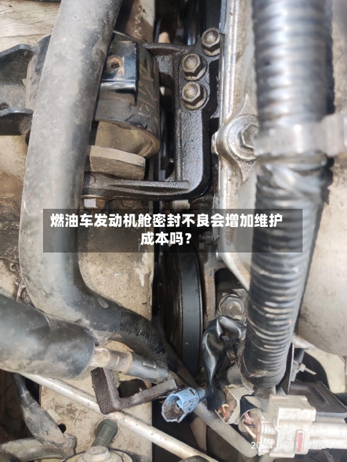 燃油车发动机舱密封不良会增加维护成本吗？