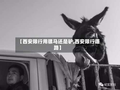 【西安限行用骡马还是驴,西安限行道路】