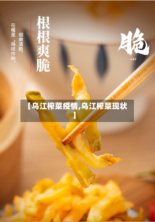 【乌江榨菜疫情,乌江榨菜现状】
