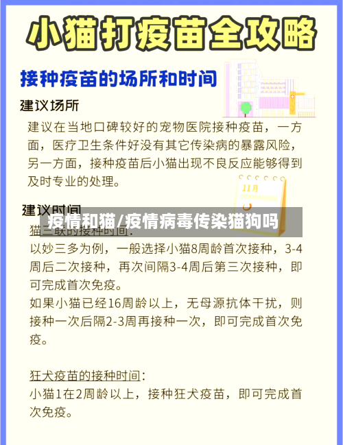 疫情和猫/疫情病毒传染猫狗吗