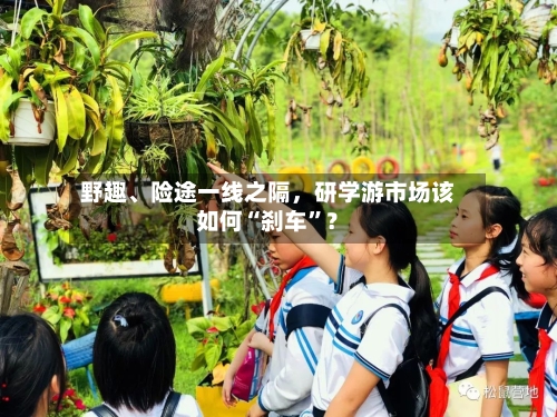 野趣、险途一线之隔，研学游市场该如何“刹车”？