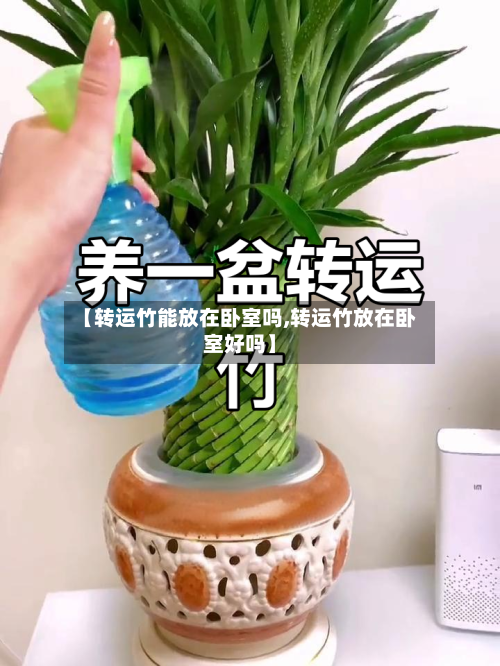 【转运竹能放在卧室吗,转运竹放在卧室好吗】