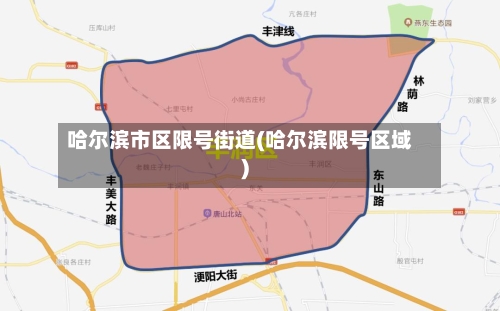 哈尔滨市区限号街道(哈尔滨限号区域)