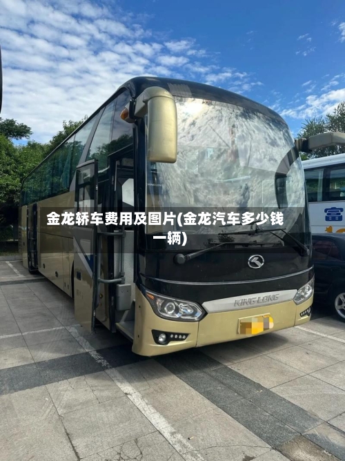 金龙轿车费用及图片(金龙汽车多少钱一辆)