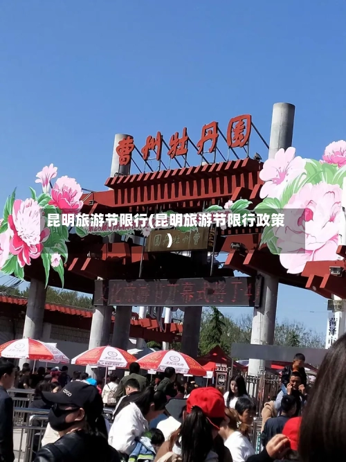 昆明旅游节限行(昆明旅游节限行政策)