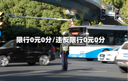 限行0元0分/违反限行0元0分