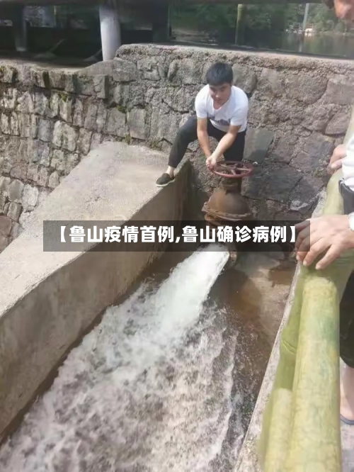【鲁山疫情首例,鲁山确诊病例】