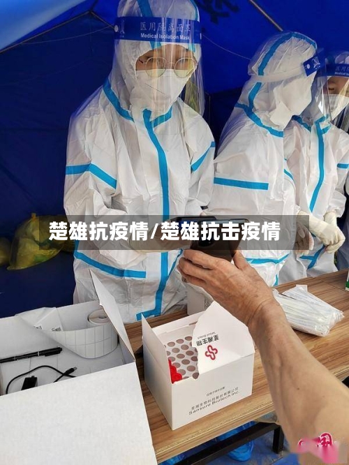 楚雄抗疫情/楚雄抗击疫情