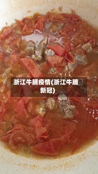 浙江牛腩疫情(浙江牛腩新冠)