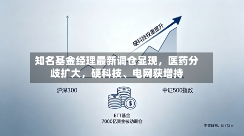 知名基金经理最新调仓显现，医药分歧扩大，硬科技、电网获增持