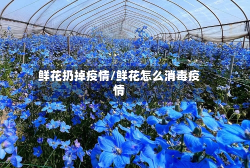 鲜花扔掉疫情/鲜花怎么消毒疫情