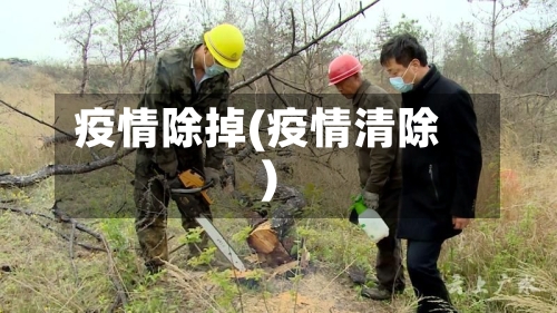 疫情除掉(疫情清除)
