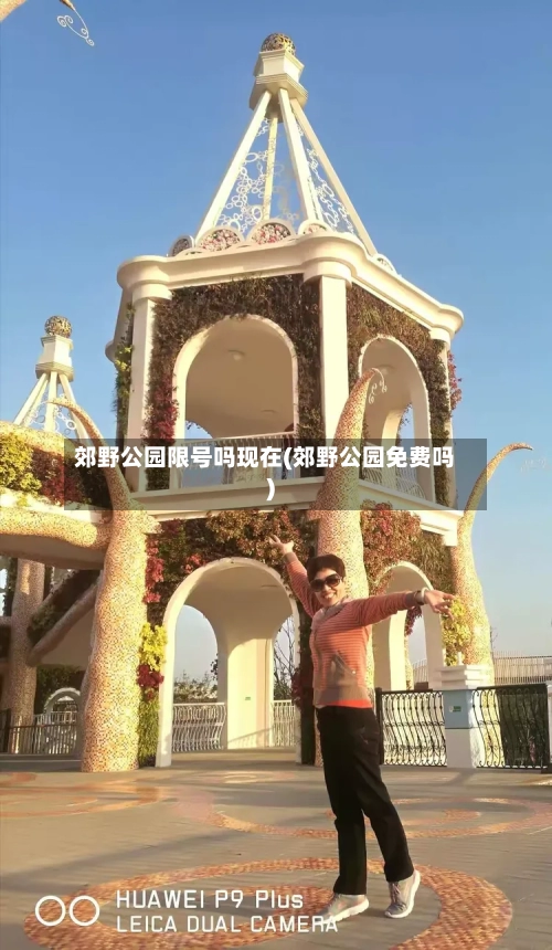 郊野公园限号吗现在(郊野公园免费吗)