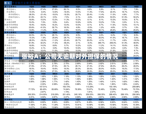 张裕A：公司无逾期对外担保的情况