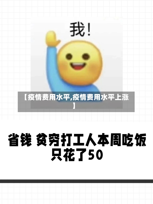 【疫情费用水平,疫情费用水平上涨】